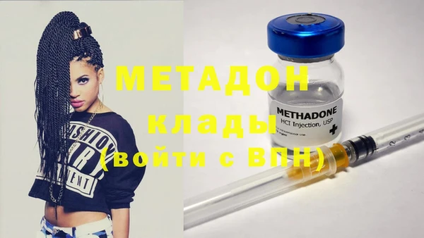 шишки Беломорск