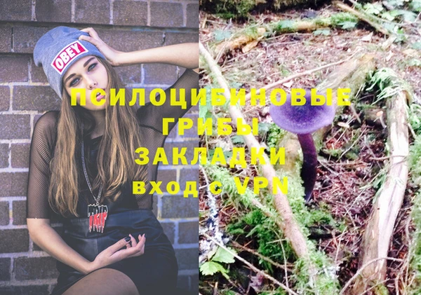 СК Балабаново
