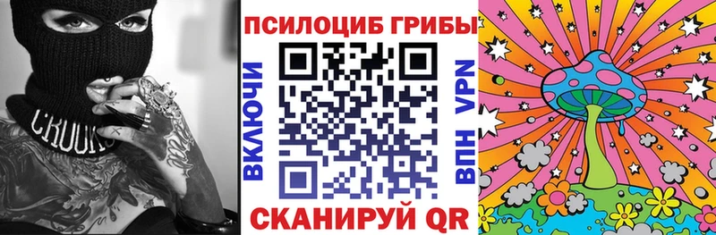 купить  цена  Вольск  Псилоцибиновые грибы Psilocybe 